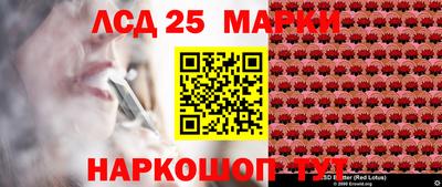 apvp Канаш