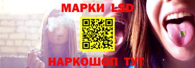 apvp Канаш
